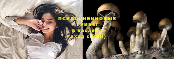 Альфа ПВП Верхнеуральск